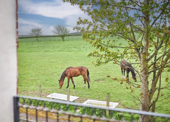 Host & Stay - The Paddock