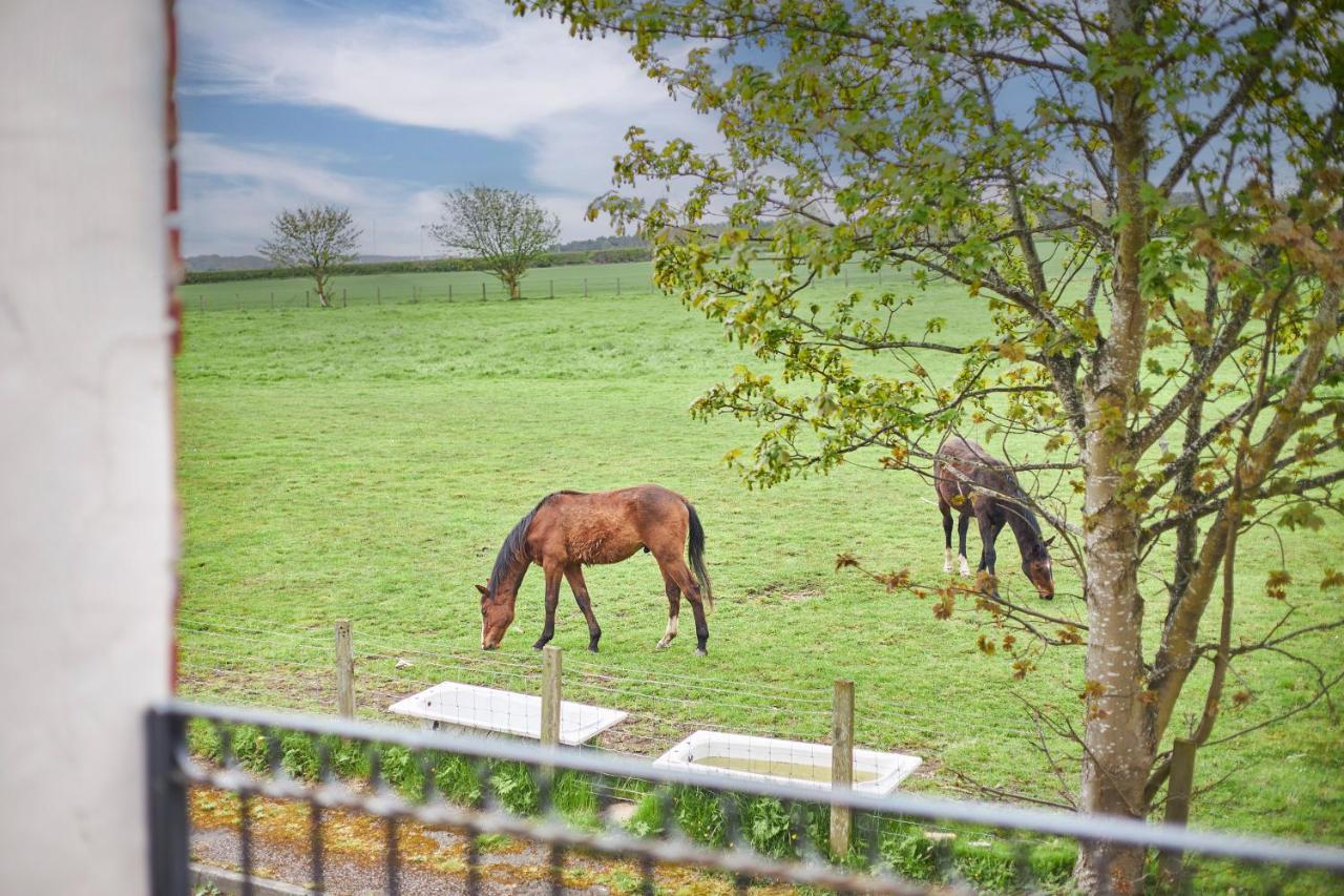 Apartment Host & - The Paddock *